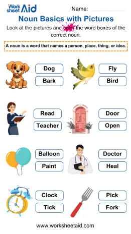 Noun Basics with Pictures